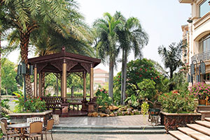 YY1004 ���_(t��i)ͤ�w 