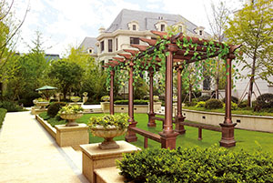 YY2001 ��������(gu��) 