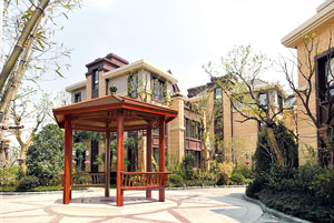 YY1003 ͤ�_(t��i)���w 