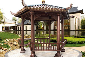 YY1006 �\�C���A 